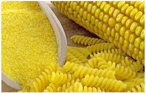 1000 kg/hour pasta production lines